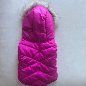 Cat/dog vest 🐾💕